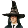 Harry Potter 6