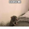 Nut Cringe At All - 8