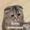 Стики из 13