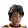 Harry Potter 11