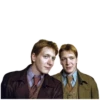 Harry Potter 15