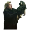 Harry Potter 16