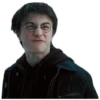 Harry Potter 17