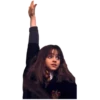 Harry Potter 21