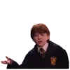 Harry Potter 22