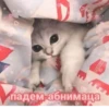 Стики из 26