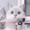 や kittens 🥠 ;: 28