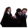 Harry Potter 28