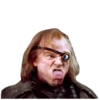Harry Potter 30