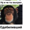 Monkey rejecting cringe 5