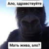 Monkey rejecting cringe 6