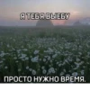 Больше стикеров тYт➡️ 10