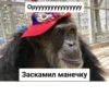Monkey rejecting cringe 8