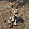 ↑Shrek - Donkey 🔱 12