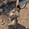 ↑Shrek - Donkey 🔱 26