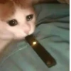 ESH_AV :: @fStikBot 27