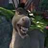 ↑Shrek - Donkey 🔱 30