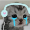 miau, guau 6