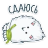 ПYшок 10
