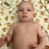лYка брадд |nefor family| 9