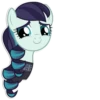 Rara 11