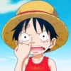 One piece mood 8