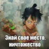 onepiecepackmeme 16