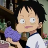 One piece mood 13