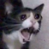 Best moods 12