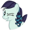 Rara 23