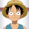 One piece mood 25