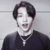 ::Hyunjin @teafancams :: 20