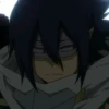 My Hero Academia | 29