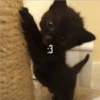 :3