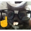 miau, guau 20