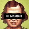 NAVAR CHAT 6