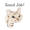 Nala & White Coffee Cat 6