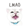 Nala & White Coffee Cat 7