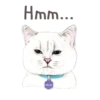 Nala & White Coffee Cat 9