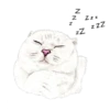 Nala & White Coffee Cat 12
