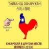 ПартиR by 9