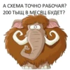NAVAR CHAT 14