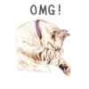 Nala & White Coffee Cat 15