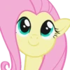 101 Ponies by BlackNebulaR 14