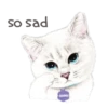 Nala & White Coffee Cat 18