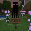 Minecraft 19