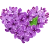 كلمات 8