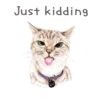 Nala & White Coffee Cat 22