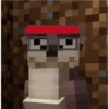 Minecraft 22