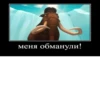 NAVAR CHAT 22